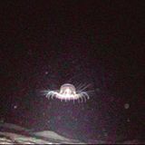 Fotoshow: Kreaturen der Tiefsee - Bild 4