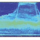 Fotoshow: Kreaturen der Tiefsee - Bild 9