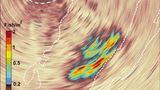 Fotoshow: Kreaturen der Tiefsee - Bild 10