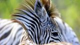 Das User-Bild des Tages - Januar 2007 - Bild 2