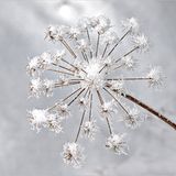 Das User-Bild des Tages - Januar 2007 - Bild 3