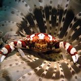 Das User-Bild des Tages - Januar 2007 - Bild 4