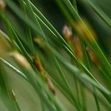 Das User-Bild des Tages - Januar 2007 - Bild 5