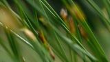 Das User-Bild des Tages - Januar 2007 - Bild 5