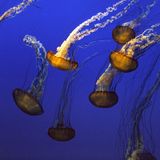 Das User-Bild des Tages - Januar 2007 - Bild 6