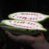 Das User-Bild des Tages - Januar 2007 - Bild 7