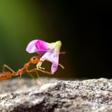 Das User-Bild des Tages - Januar 2007 - Bild 8