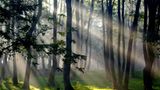 Das User-Bild des Tages - Januar 2007 - Bild 10