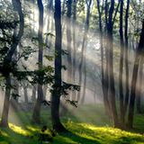 Das User-Bild des Tages - Januar 2007 - Bild 10