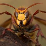 Das User-Bild des Tages - Januar 2007 - Bild 12