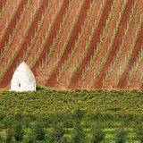 Das User-Bild des Tages - Januar 2007 - Bild 15