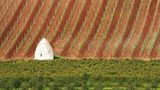 Das User-Bild des Tages - Januar 2007 - Bild 15