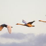 Das User-Bild des Tages - Januar 2007 - Bild 16