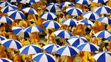 Das User-Bild des Tages - Januar 2007 - Bild 19