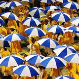 Das User-Bild des Tages - Januar 2007 - Bild 19