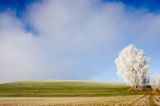 Das User-Bild des Tages - Januar 2007 - Bild 20