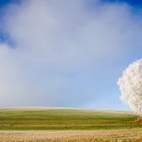 Das User-Bild des Tages - Januar 2007 - Bild 20