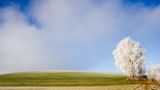 Das User-Bild des Tages - Januar 2007 - Bild 20