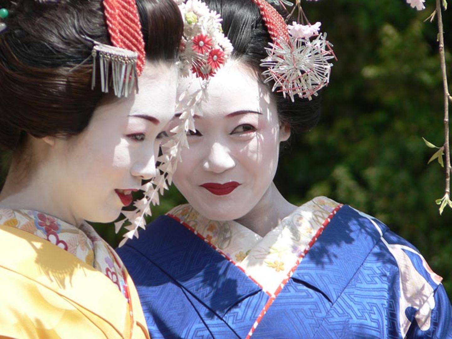 Fotogalerie zum Cover-Wettbewerb: Japan