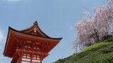 Fotogalerie zum Cover-Wettbewerb: Japan - Bild 3