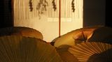 Fotogalerie zum Cover-Wettbewerb: Japan - Bild 4