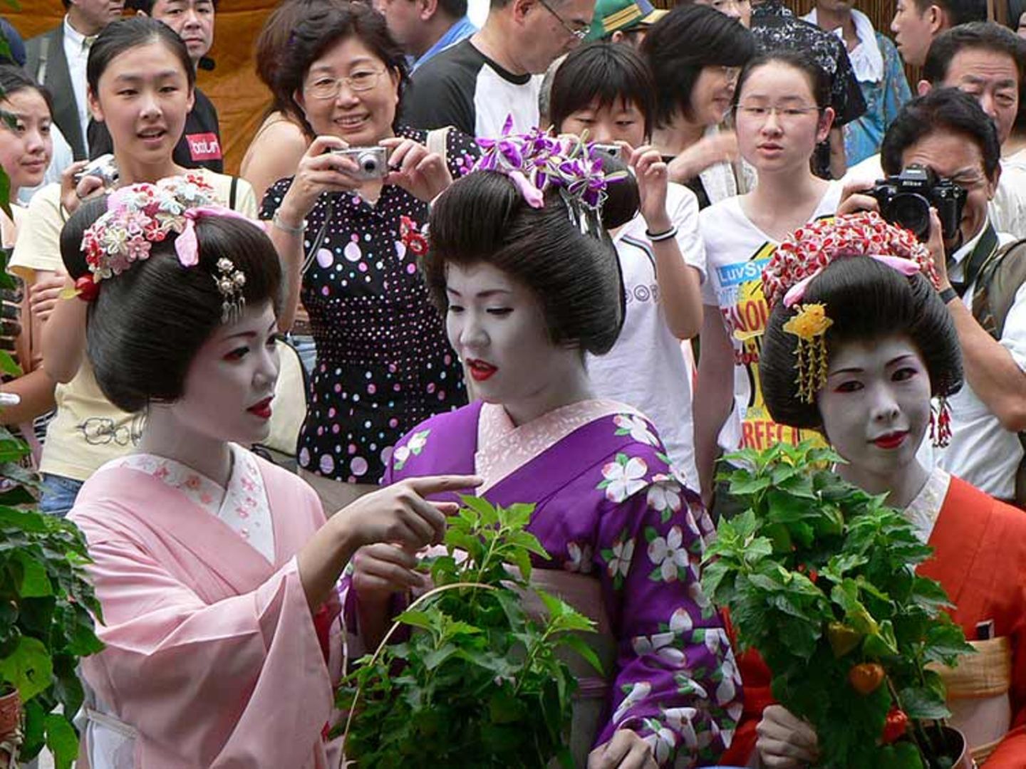 Fotogalerie zum Cover-Wettbewerb: Japan - Bild 5