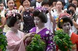 Fotogalerie zum Cover-Wettbewerb: Japan - Bild 5