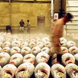 Fotogalerie zum Cover-Wettbewerb: Japan - Bild 9