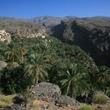 Fotogalerie: Oman - Bild 2