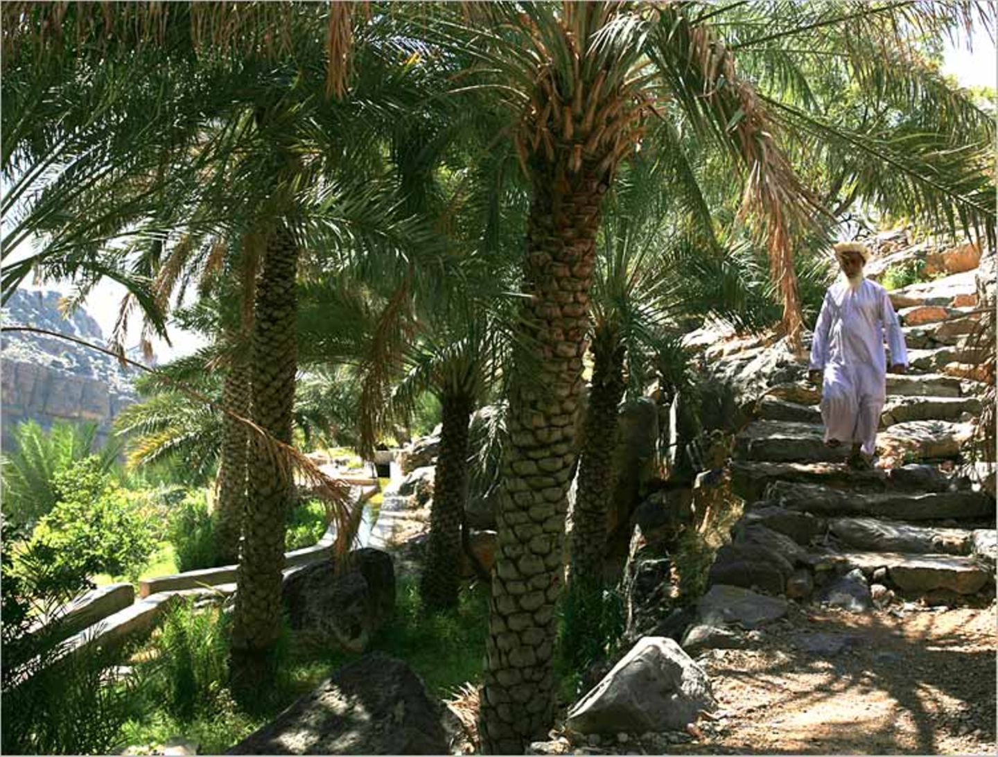 Fotogalerie: Oman - Bild 4