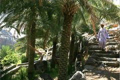 Fotogalerie: Oman - Bild 4