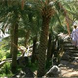 Fotogalerie: Oman - Bild 4