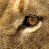 Das User-Bild des Tages - Februar 2007