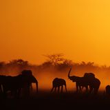 Das User-Bild des Tages - Februar 2007 - Bild 7