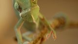 Das User-Bild des Tages - Februar 2007 - Bild 9