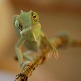 Das User-Bild des Tages - Februar 2007 - Bild 9