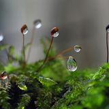 Das User-Bild des Tages - Februar 2007 - Bild 11