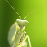 Das User-Bild des Tages - Februar 2007 - Bild 14