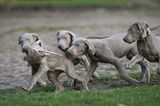 Das User-Bild des Tages - Februar 2007 - Bild 16