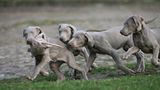 Das User-Bild des Tages - Februar 2007 - Bild 16