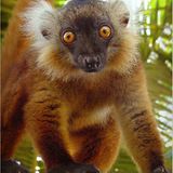 Das User-Bild des Tages - Februar 2007 - Bild 18