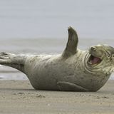 Das User-Bild des Tages - Februar 2007 - Bild 19