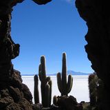 Das User-Bild des Tages - Februar 2007 - Bild 20