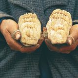 Fotogalerie: Die Sprache der Hände - Bild 5