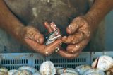 Fotogalerie: Die Sprache der Hände - Bild 9