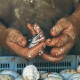 Fotogalerie: Die Sprache der Hände - Bild 9