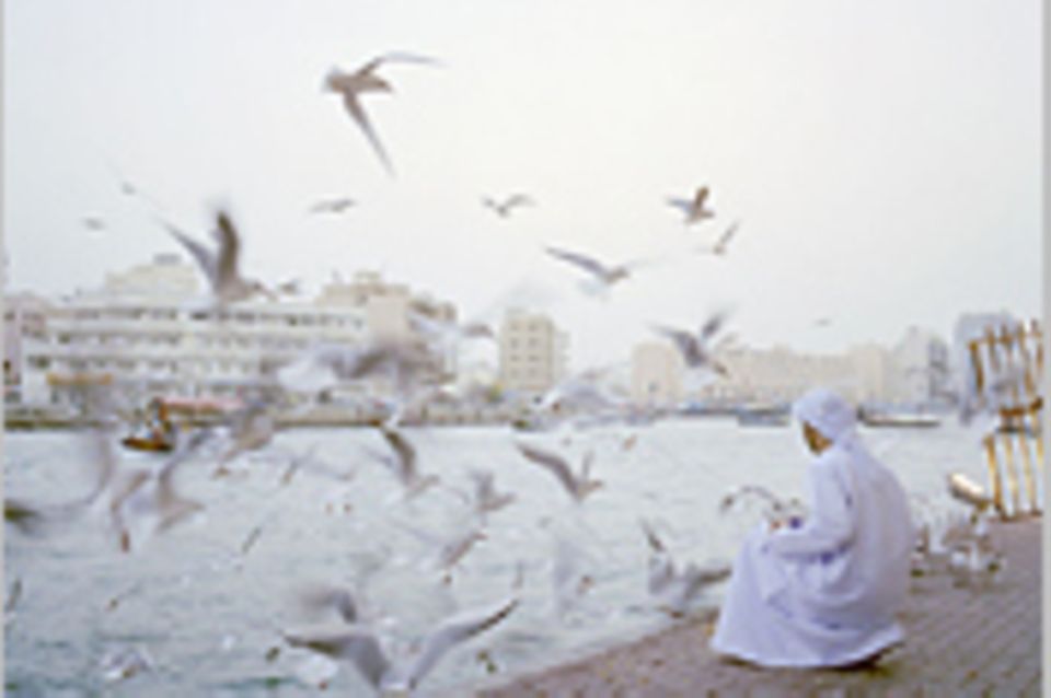 Fotogalerie zum Cover-Wettbewerb: Dubai