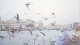 Fotogalerie zum Cover-Wettbewerb: Dubai