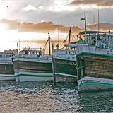 Fotogalerie zum Cover-Wettbewerb: Dubai - Bild 2