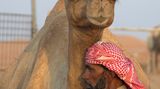 Fotogalerie zum Cover-Wettbewerb: Dubai - Bild 11